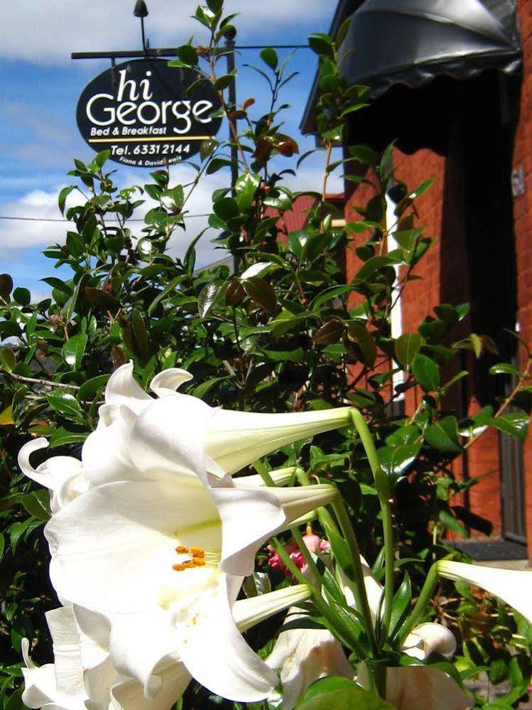 Hi George B&B Launceston Exteriér fotografie